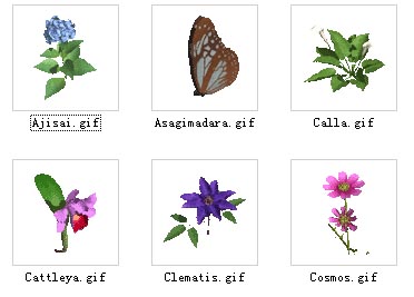 3dPlant modle 3D / fleurs 1-18