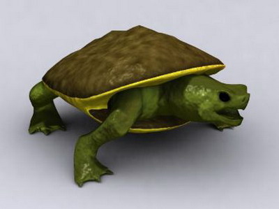 Modle 3D de Turtle