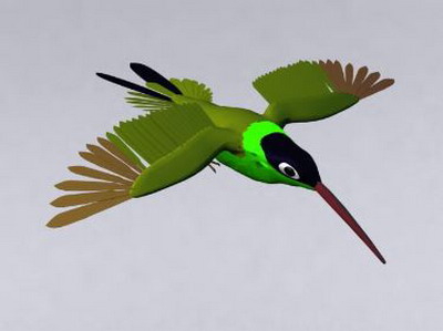Hummingbird Modles 3D