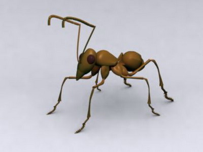 3D Model of Ants