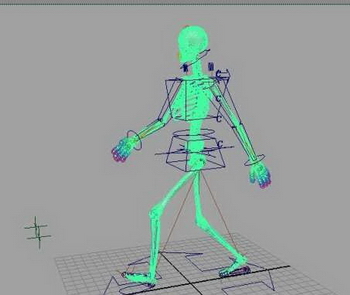 In situ squelette ambulant Femme modle 3D de