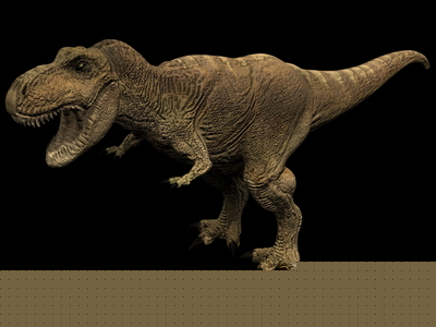 Modle 3D de Tyrannosaurus Rex