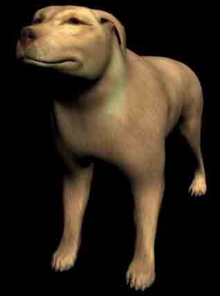 Big Yellow Dog 3D Model of