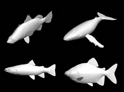 Modles 3D