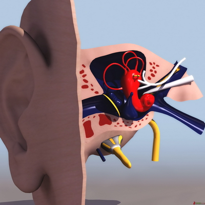 Modles 3D