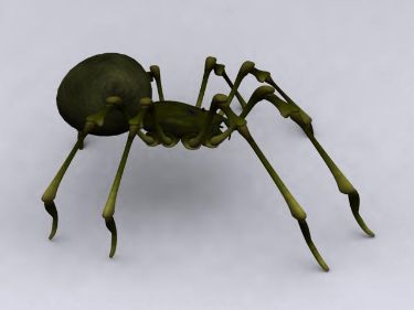 Modles 3D