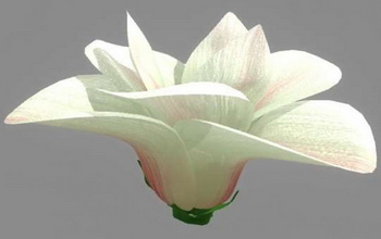 Fleur, les modles 3D