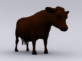Modles 3D