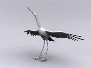 Modles 3D