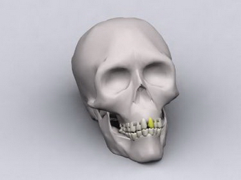 Modles 3D