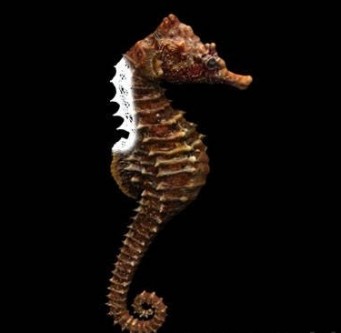 Modles 3D