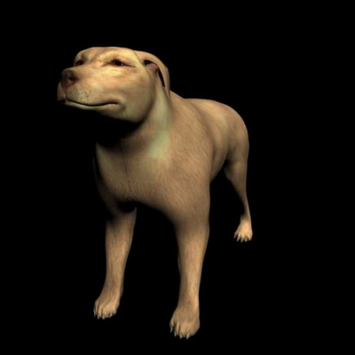 Modles 3D