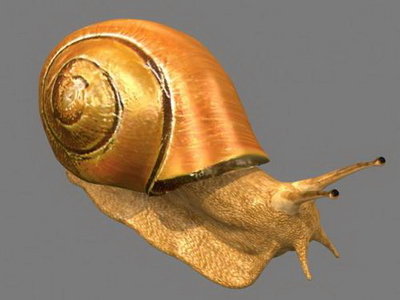 Modles 3D