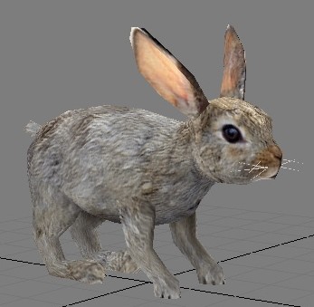 Modles 3D