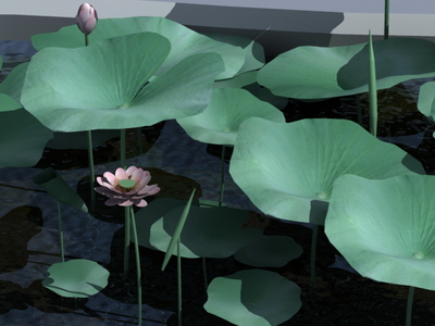 Modles 3D