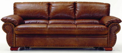canap en cuir brun plus