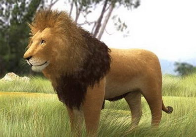 lions d