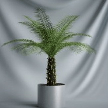 Bonsaï Series - Modle 3D d