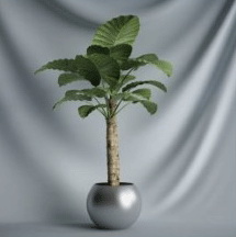 Bonsaï Series - Modle 3D de feuilles d