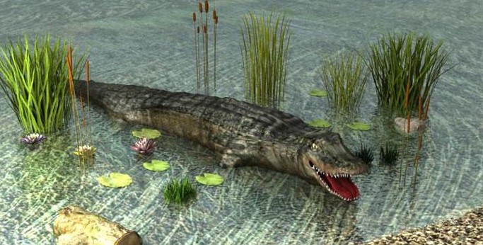 3D Animaux - Crocodile
