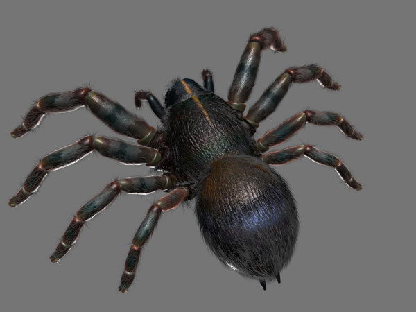 Modle 3D de fourmis noires

