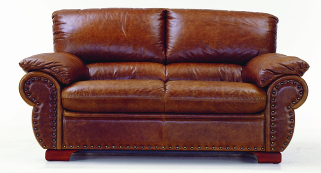Double canap en cuir modle 3D de la Chambre de socit
