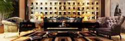combinaison de style europen des tapis moelleux et des meubles