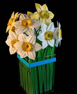 La plante en pot - vase en verre de chrysanthmes