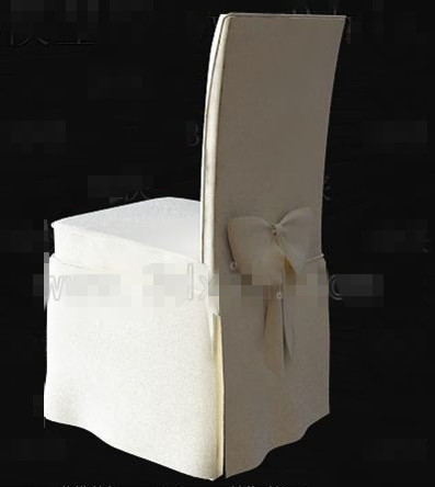 Prsident nœud papillon blanc