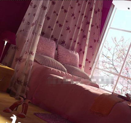 Pche rose fleur de chambre lumineuse