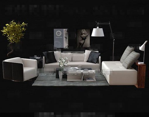 Mode simple combinaison canap blanc