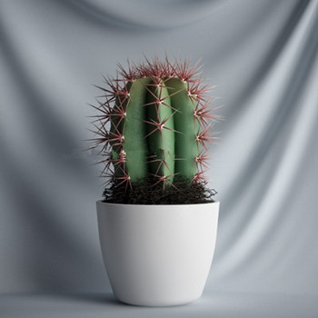 Modles 3D Cactus
