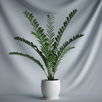 Modle 3d de pot intrieur