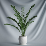 Modle 3d de pot intrieur
