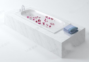 Modle de bain de luxe