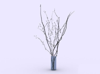 Intrieur plante modle