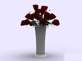 Modle Rose Intrieur