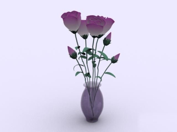 Intrieur plante modle
