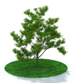 Modles d'arbres modernes