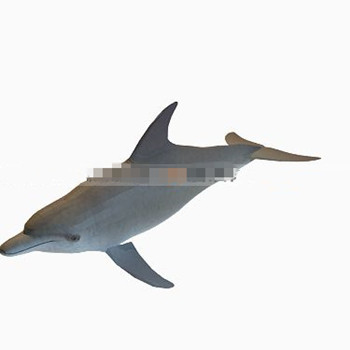 Modles dauphin mignon 3d