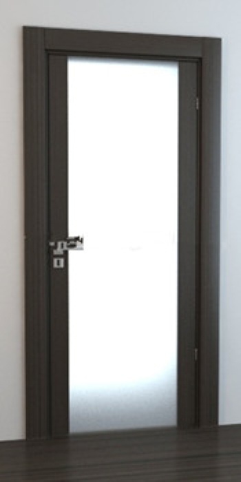 Modles de portes transparentes
