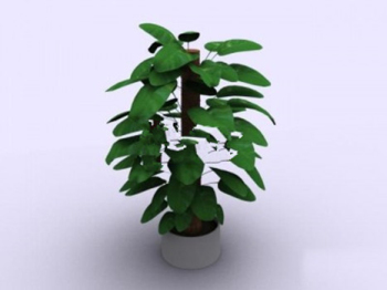 Accueil bonsaï modles 3D