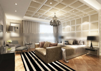 Le modle 3D de chambre spacieuse