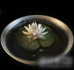 Pot de fleurs modle 3d