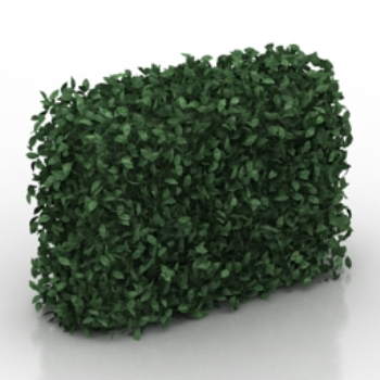 modle de mur vert