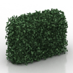 modle de mur vert