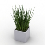 herbe modle pot plante modle
