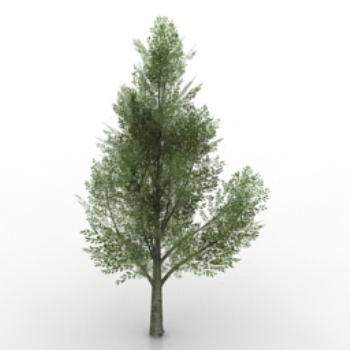 Les arbres verts modle 3d