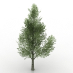 Les arbres verts modle 3d
