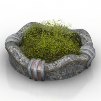 modle de bonsaï herbe